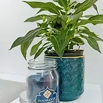 Appartement Le - Bleu Lavande